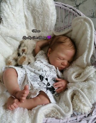 Reborn Baby Girl Doll Macie Limited Edition By Cassie Brace Gorgeous