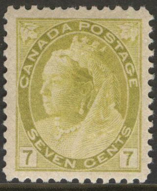 Canada 81 1902 Queen Victoria Numeral 7c Olive Yellow Mnh (dg) Vf Cv As Nh $900