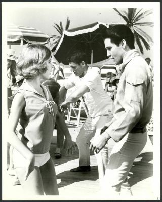 (51) Elvis Presley 1965 Girl Happy 8x10 Vintage Still Promo Photo Mgm