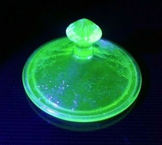 Jeannette - Poinsettia - Uranium Green Depression Glass Sugar Bowl Lid Only