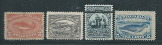 Newfoundland Canada Early Hinged Lot Some Poor Backs See Both Scans