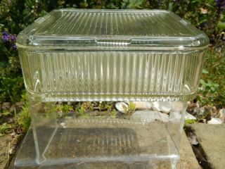 Vintage Large 8.  5 " Square Federal Glass Ribbed Refrigerator Dish Vegetables