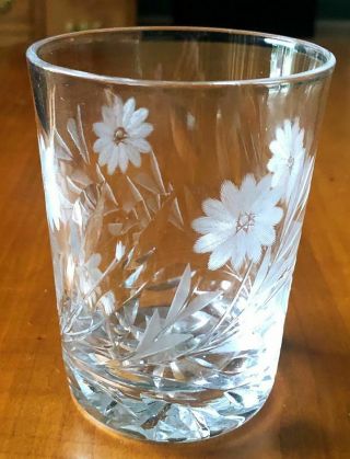 American Brilliant Abp Cut & Engraved Glass Whiskey Tumbler Daisies & Leaves N/r