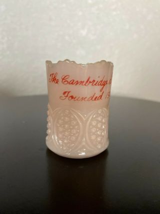 Vintage Cambridge Glass Co.  Toothpick Holder Opaque Pink Milk Glass