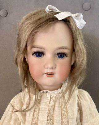 Antique George Borgfeldt 24” Doll Bisque Head Composition Body Germany G.  B.