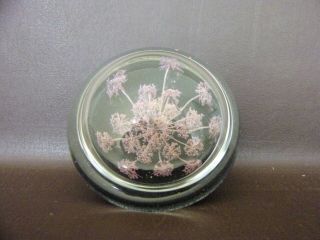 Vintage Glass Dome Style Paperweight With Dried Flowers