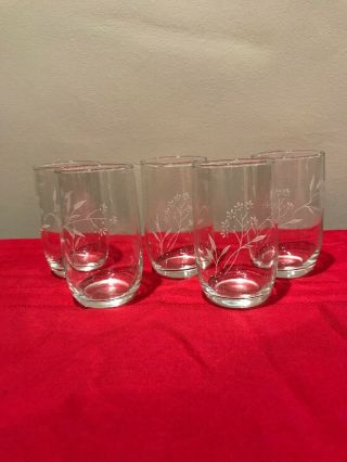 Set Of 5 Vintage Clear Drinking Glasses With White Flower Design