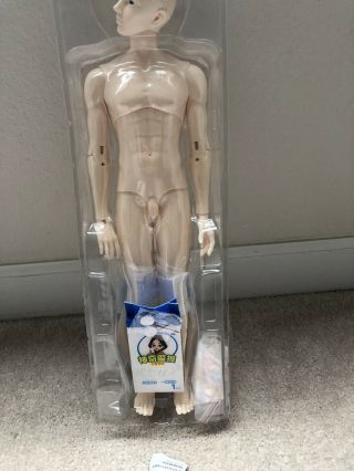 Recast Nude 40 Cm Resin Iplehouse Bjd Doll