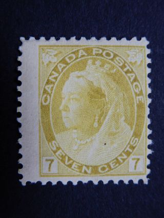 81 Mhh 7c Olive Yellow Queen Victoria " Numeral " Issue,  1899 Cv=$80.  00
