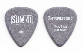 Sum 41 Dave " Brownsound " Baksh Gray Guitar Pick - 2005 Tour