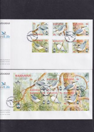 Bahamas 2006 Birdlife Nuthatch Bird Choice Of Stamps Or Ms First Day Cover Fdc