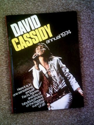 David Cassidy Annual 1974 Published 1973 Vintage Pop Book
