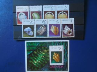 G40 Stamps Grenada 1975 Shells Set Mnh,  S/s Mh
