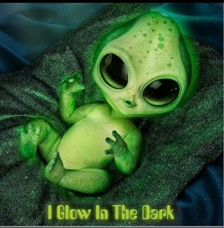 Ashton - Drake Galleries Glow In The Dark Alien Baby Authentic Fantasy Reborn Doll