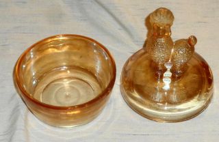 Vintage 1940 ' s JEANNETTE Marigold Carnival Glass Poodle Powder Jar/Trinket Box 3