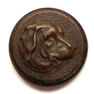 Antique Button Awesome 19th Century Molded Horn With Dog Head