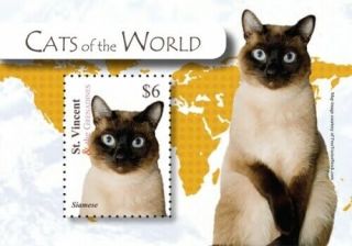 St.  Vincent 2010 - Sc 3729 Cats Of The World,  Siamese - Souvenir Sheet - Mnh
