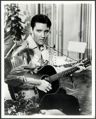 (6) Rare Elvis Presley 1965 Girl Happy 8x10 Vintage Promo Photo Mgm