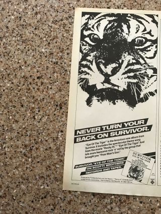 1982 Vintage 5.  25x11 Album Promo Print Ad For Survivor " Eye Of The Tiger "