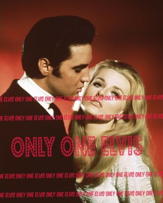 1968 Elvis Presley In The Movies " Live A Little Love A Little " Celeste Yarnall