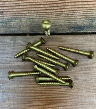 Wood Screws 8x1 - 1/4” Slotted Oval Head Brass