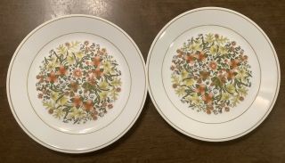 Set Of 2 Vintage Corelle Corning Indian Summer Dinner Plates 10 1/4”