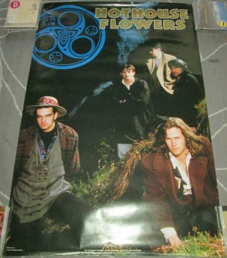 HOTHOUSE FLOWERS London/Polygram promotional poster,  1988,  24x36,  EX 2