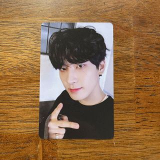 Seventeen Wonwoo 2019 Seasons Greetings Photocard