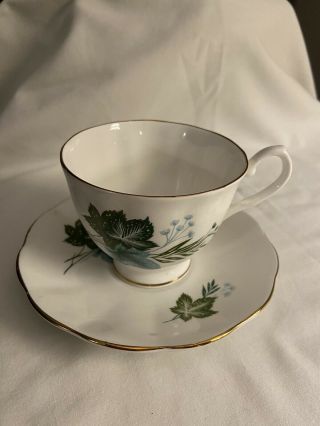 Vintage Elizabethan English Fine Bone China Tea Cup And Saucer Set