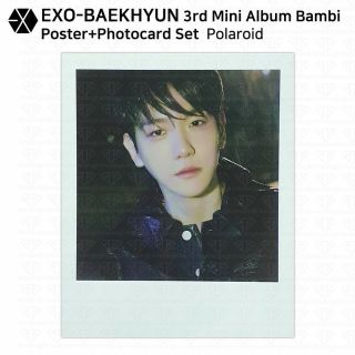 EXO Baekhyun 3rd Mini Album Bambi Official SMTOWN Goods Mini Poster Polaroid Etc 3