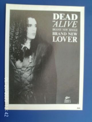 Pete Burns - Dead Or Alive - 1986 Lover - Poster Ad 1980s