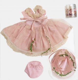 1953 Vogue Ginny Pink Bridesmaid 56 W/panties,  Hat & Slippers In Acetate Case