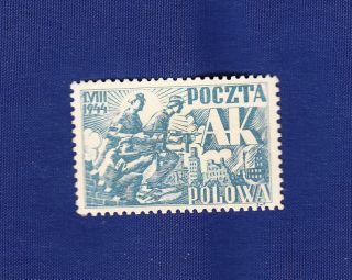 Poland 1944 Warsaw Uprising Mnh Postage Stamp (blue/grey)