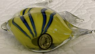 Angel Fish paperweight by Dynasty Gallery Yellow & Blue 6x4 Inches 3