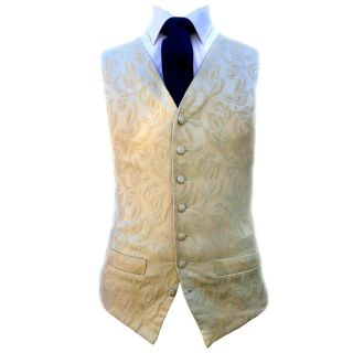 Vintage Champagne Antique Gold Waistcoat Vest Wedding Formal 36l 48l Ex - Hire