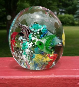 Art Glass Coral Reef Paperweight With Angel Fish 2