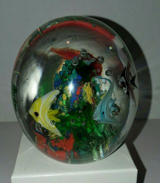 Art Glass Coral Reef Paperweight With Angel Fish 3
