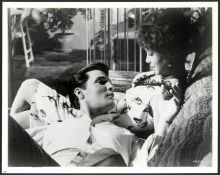 (41) Elvis Presley 1965 Girl Happy 8x10 Vintage Still Promo Photo Mgm