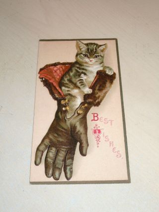 Antique Embossed Cat Themed Christmas Greetings Card - Davidson Bros