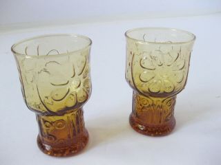 Vintage 60s Pair Libbey Amber Juice Glass Tumbler Country Garden Flower