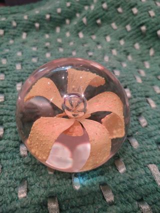 Vintage Art Glass Paperweight Controlled Bubbles Murano Yellow Orchid Flower