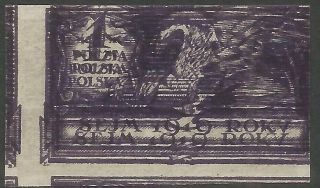 Poland,  Fi:113 Mk,  Mnh,  Print On Both Sides Inc.  Double On Gum Side
