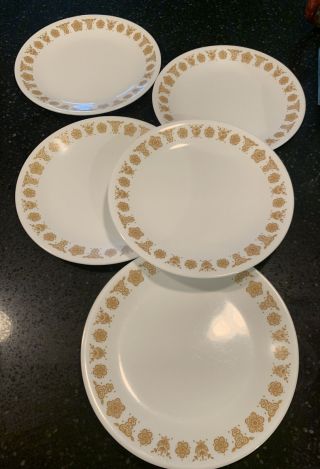 5 Vintage Corelle Butterfly Gold 8 5/8” Plate Dinner Plates