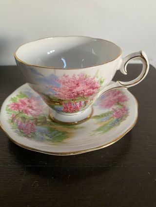 Vtg Queen Anne Tea Cup And Saucer Meadows Bone China England
