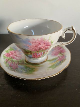 Vtg Queen Anne Tea Cup and Saucer Meadows Bone China England 2
