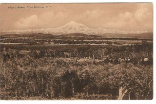 Mount Baker From Oak Bay Victoria Canada British Columbia Postcard Antique 1907