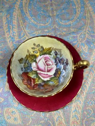 STUNNING AYNSLEY CHERRY RED TEACUP & SAUCER CABBAGE ROSE SIGNED J A BAILEY 4