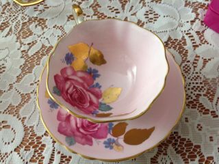 Paragon Deep Pink Cabbage Rose Gold Leaf Tea Cup Saucer Teacup Double Warrant