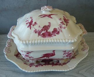 C.  1890 Copeland Spode Red/pink Chelsea Bird Soup Tureen,  Assorted Plates