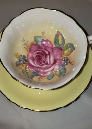 Vintage Paragon Double Warrant Cabbage Rose Yellow Tea Cup & Saucer Gold Trim